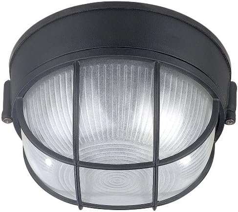 Canarm 1-Light Oudoor Lantern, Black Finish with Frosted Glass Shade, Durable Wet-Rated Outdoor Lighting for Porch, Patio and Outdoor Entryway
