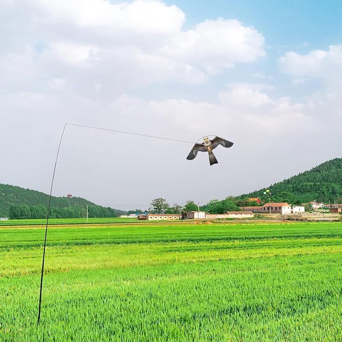 Birds Scaring Hawk Flying Kite Professional Pigeon Scarer only Kite(Brown-Grey)