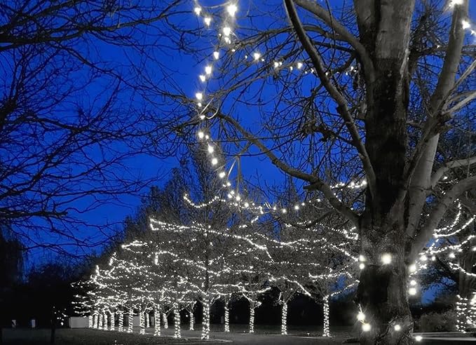 Novelty Lights 50ft 100 LED Pure White Christmas String Lights, Green Wire