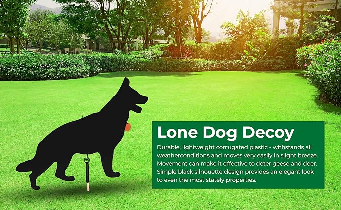 Lone Dog Decoy - Predator Decoys, Repellent for Geese, Deer - Goose Deterrent, Dog Decoy to Keep Away Pests - Predator Replica Visual Scare Device