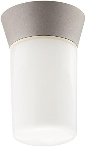 Nuvo Lighting SF77/139 Transitional One Light Outdoor Wall Mount in Pwt, Nckl, B/S, Slvr. finish | Pwt, Nckl, B/S, Slvr. Finish