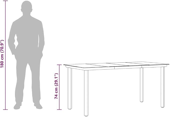 vidaXL Tempered Glass Table, Patio Dining Table with Steel Frame, Patio Furniture for Backyard Garden, Modern Style, Black Steel and Tempered Glass