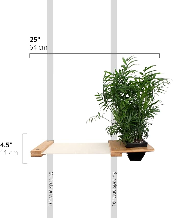 Catastrophic Creations Cat Planter Lounge Cat Hammock — 25-Inch Onyx Bamboo/Natural Canvas— Cat Wall Shelf— Cat Wall Furniture — Cat Climbing Shelves — Cat Floating Shelves — Cat Wall Hammock
