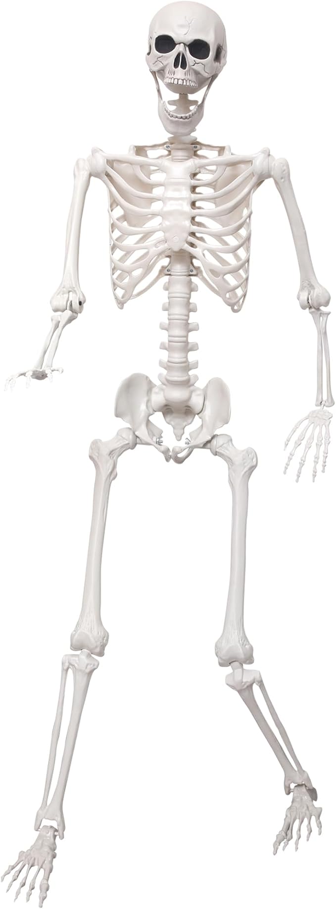 5.4Ft Giant Skeleton Life Size Human Bones with Movable Joints for Halloween Props Decorations