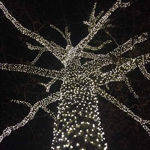 Novelty Lights 12-Pack, 50 Feet 100 LED Pure White Christmas Mini Light String on Green Wire, 5mm Wide Angle Bulbs, Connectable, Indoor/Outdoor Decor, UL Listed