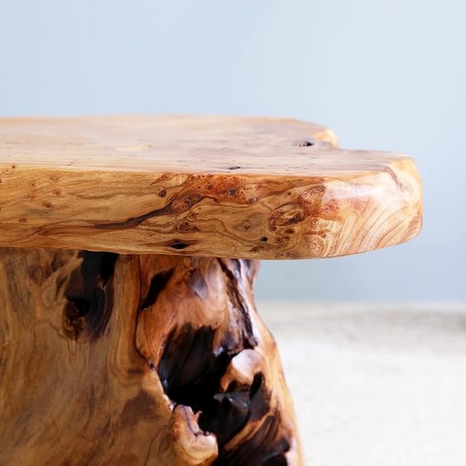 13.8" Live Edge Cedar Tree Stump Stool Handcrafted Solid Natural Wood Side Table Rustic Plant Stand Accent Nightstand for Bedroom,Living Room,Patio,Garden
