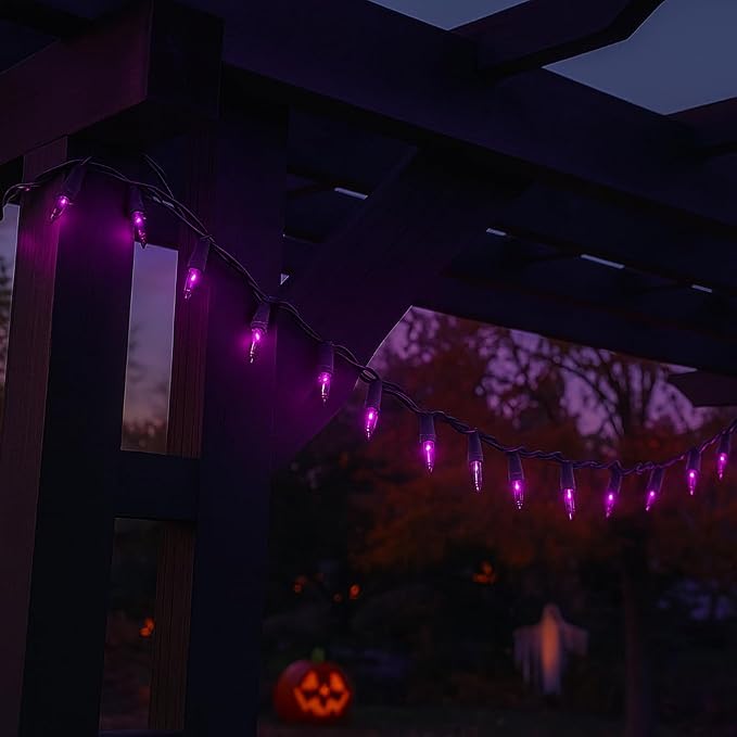 Novelty Lights 11 Feet 50 Bulbs Green Wire Purple Incandescent Mini Lights