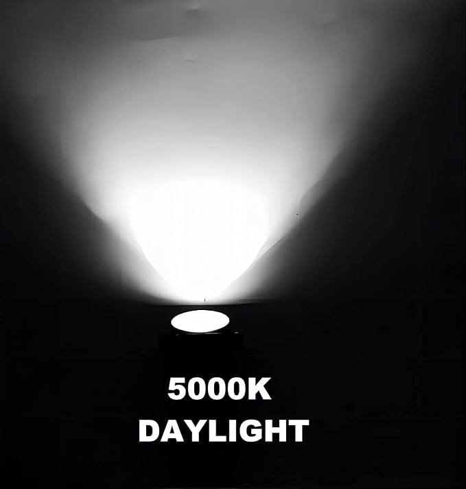 Landscape Lights 5000K,Low Voltage Led Landscape Lighting, 12V AC/DC Waterproof Landscape Spotlights Outdoor with Stake for Tree Flag Spot Light Daylight 10 Pack (Spike Stand)