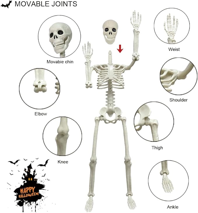 2 Pack 36in Posable Plastic Skeleton Halloween Decor - 3 ft Halloween Decor | Full Body Plastic Skeletons with Posable Joints, Perfect for Spooky Halloween Yard Patio Lawn Indoor Decor Party Photo Props