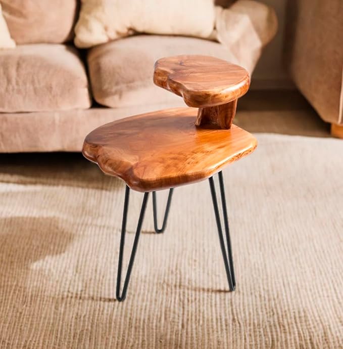 Double-Deck Cedar Solid Wood Coffee Table 16" x 16" x 26" H Natural Shape Accent Vintage Outdoor Side Tables Rustic Plant Stand Couch Live Edge End Tables for Living Room Sofa Patio Bedroom