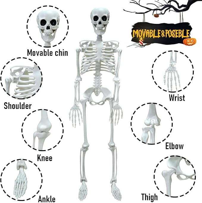 2PACK 36" Skeleton Halloween Decorations, 3FT Skeleton with Movable Joints | Plastic Skeleton for Indoor Outdoor Haunted House Prop Decor