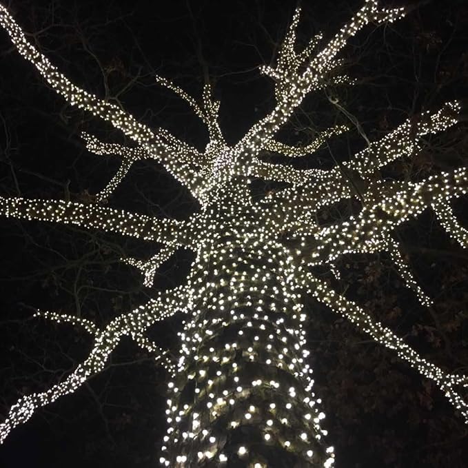 Novelty Lights 50ft 100 LED Pure White Christmas String Lights, Brown Wire