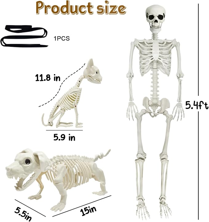 5.4Ft Posable Halloween Skeleton with Dog Cat Skeleton for Halloween Decor | Full Body Life Size Human Bones with Movable Joints