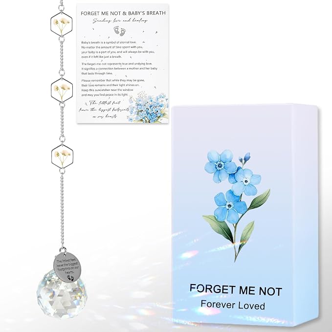 Miscarriage Memorial Suncatcher Gifts for Mothers Dad, Handmade Forget Me Not Baby's Breath Pressed Flower Miscarriage Ornament, Bereavement Remembrance Gift for Loss of Baby (White)