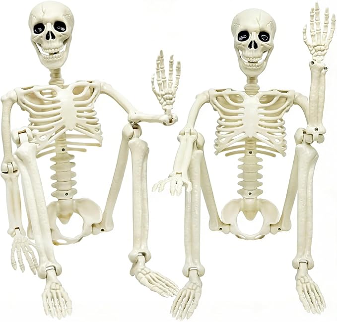 2 Pack 36in Posable Plastic Skeleton Halloween Decor - 3 ft Halloween Decor | Full Body Plastic Skeletons with Posable Joints, Perfect for Spooky Halloween Yard Patio Lawn Indoor Decor Party Photo Props