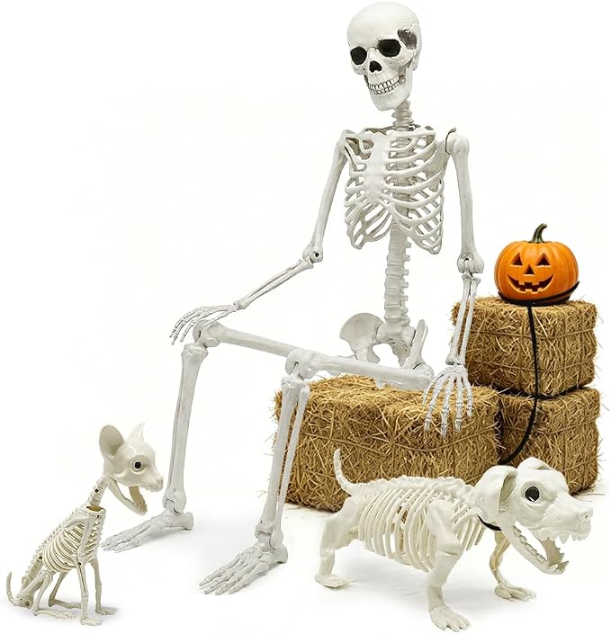 5.4ft Halloween Full Size Skeleton with Dog Cat for Haunted Party Decor | Life Like Posable Skeleton Realistic Human Plastic Bones with Animals Skeleton for Halloween Party Lawn Haunted House Decor