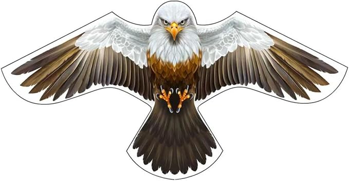 Birds Scaring Hawk Flying Kite Professional Pigeon Scarer only Kite (Brown-White)