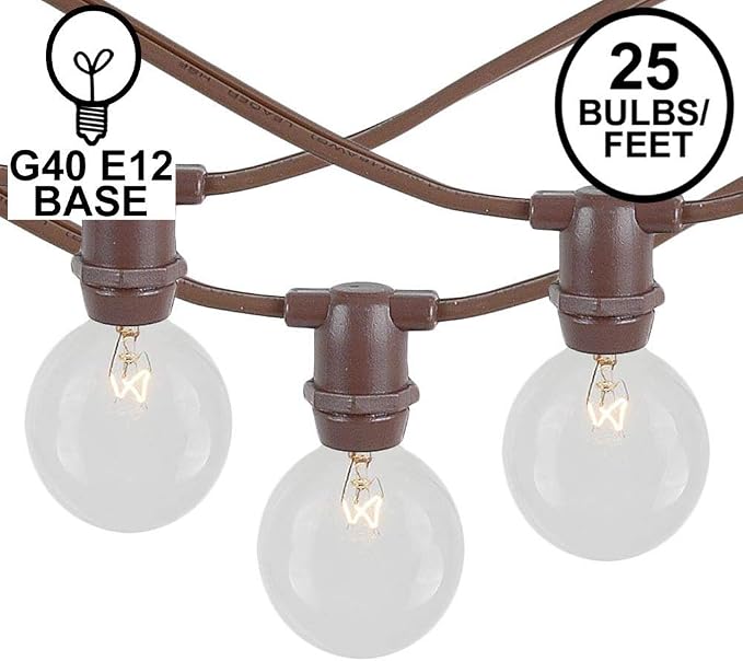Novelty Lights 25' Clear Incandescent G40 Globe Outdoor String Lights