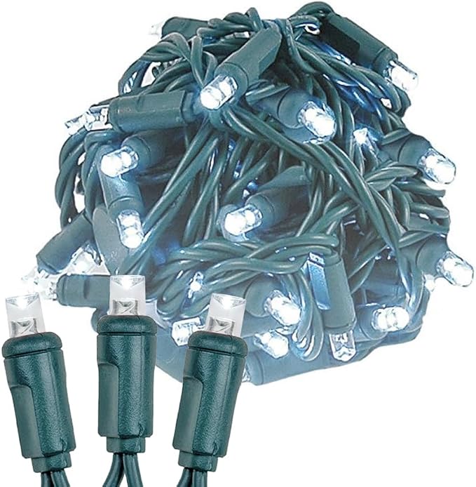 Novelty Lights 12-Pack, 50 Feet 100 LED Pure White Christmas Mini Light String on Green Wire, 5mm Wide Angle Bulbs, Connectable, Indoor/Outdoor Decor, UL Listed