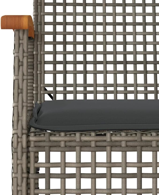 9 Piece Patio Dining Set with Cushions Gray Poly Rattan Outdoor Table and Chairs for Garden Backyard Deck Entertaining Acacia Wood Top