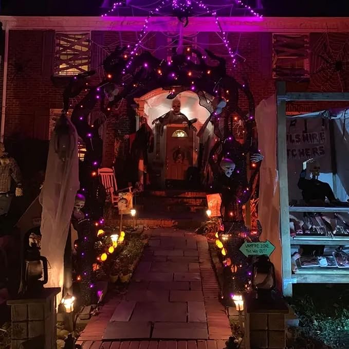 TW SHINE Purple and Orange Halloween Lights, 2 Pack 20FT 100 Count Incandescent Mini String Lights, Waterproof Halloween Decorations for Outdoor Indoor Patio Home Party Garden Yard Decor