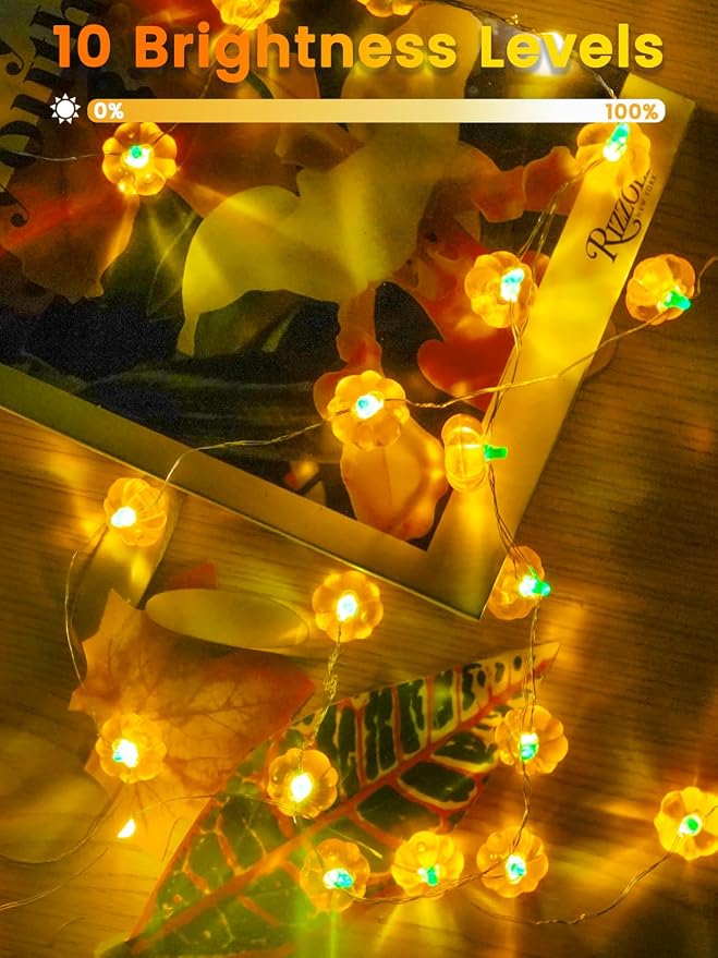 2 Pack 30LED Pumpkin Fall Decorations String Lights Battery Operated Remote | 20FT, 3D Pumpkin Fairy Twinkle Lights with Timer, 8 Modes, Waterproof Outdoor Autumn Harvest, Thanksgiving, Halloween Decor