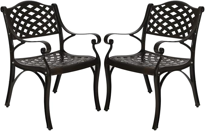 YUSING Outdoor Dining Chairs Set of 2, Cast Aluminum Metal Arm Chairs for Kitchen, Garden, Backyard