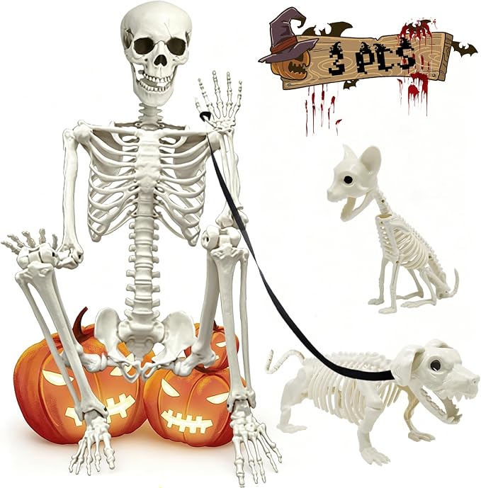 5.4Ft Posable Halloween Skeleton with Dog Cat Skeleton for Halloween Decor | Full Body Life Size Human Bones with Movable Joints