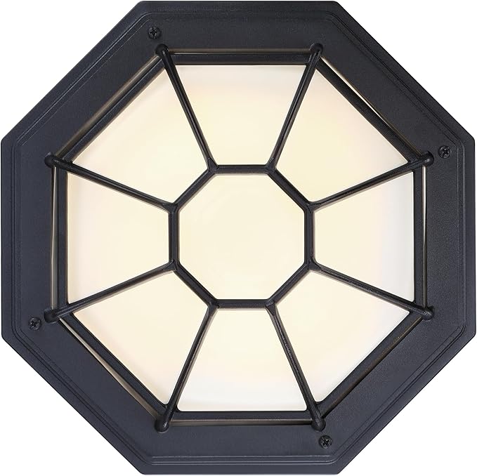10.5 inch Black Octagonal Outdoor Ceiling Lights LED 2700K 3000K 3500K 4000K 5000K Close to Ceiling Light Farmhouse Spider Web Lamp Black Entry Door Lights,Aluminum Alloy,Glass,17W,120V,850Lm-1050Lm