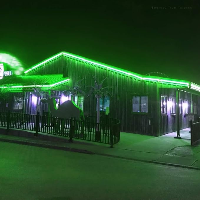 TORCHSTAR 50ft LED Neon Rope Light, Green LED Strip Lights | Outdoor IP67 Waterproof, 120V UL Plug, ETL Connectable, Neon Light Strip for Shop Sign, Patio Decor, Max 2 Sets (100FT)