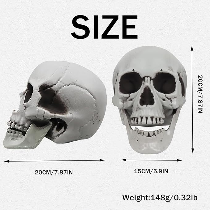 MOKRY PARTY Life Size Skeleton Skull for Halloween Decor Graveyard Outdoor White