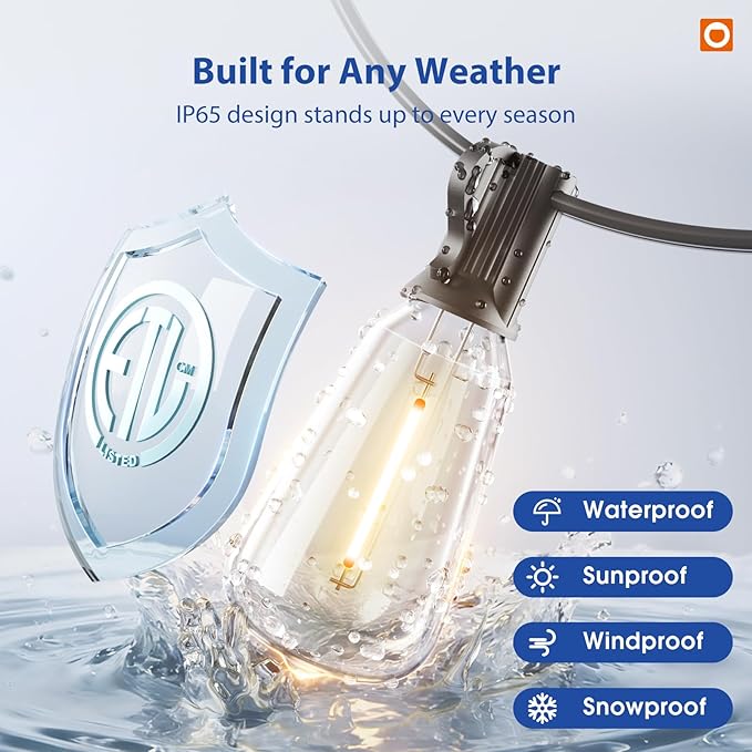 addlon 100FT Outdoor String Lights ST38 LED with Remote Waterproof Dimmable | Shatterproof Replaceable Bulbs, Connectable Hanging Strand for Porch Backyard Patio Garden Deck Outside, Timer,3 Modes