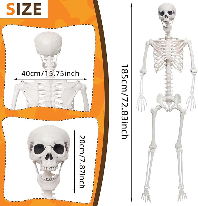 5.9Ft Giant Skeleton Life Size Human Bones with Movable Joints for Halloween Props Decorations