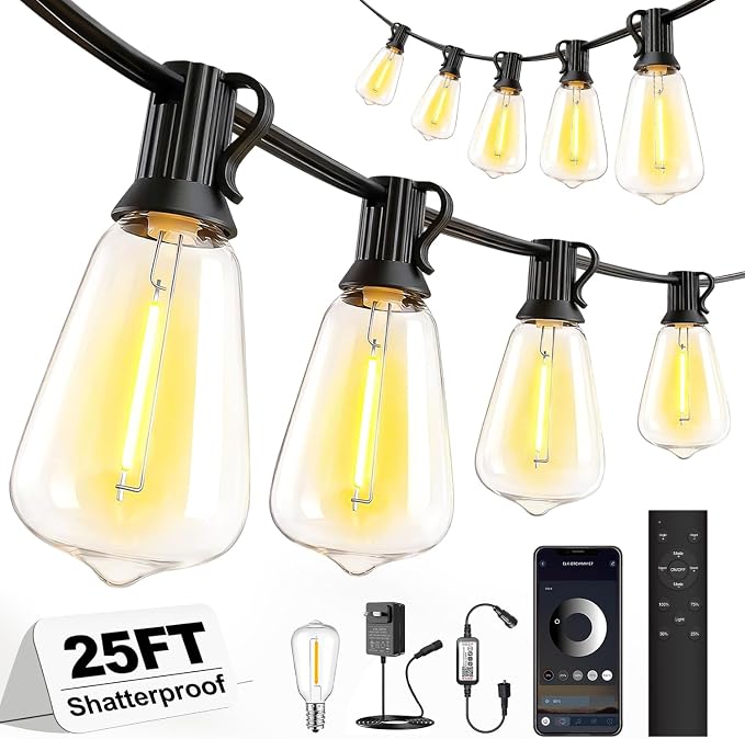 Outdoor String Lights 25FT, APP & Remote Control Dimmable Patio Lights, Plug in LED String Lights with Timer, Waterproof Backyard Pergola Garden Party Decor