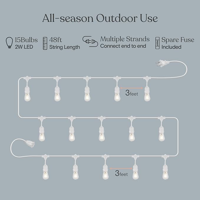 Brightech Ambience Pro Waterproof LED Outdoor String Lights, 48 Ft, Hanging, Dimmable Vintage Edison Bulbs, 15 Bulbs, 2W | Plug-in Outdoor String Lights, Waterproof Patio Lights, 15 Shatterproof LED Edison Bulbs for Backyard, 2W Soft White, White