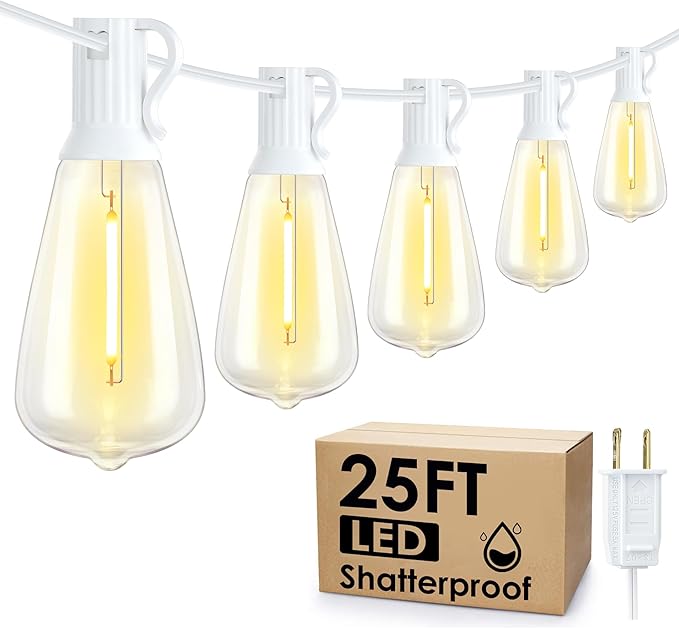 25FT Outdoor String Lights, Patio Lights with 10+1 2700K LED Dimmable Waterproof Outside Hanging ST38 Edison Bulbs for Backyard, White Cord