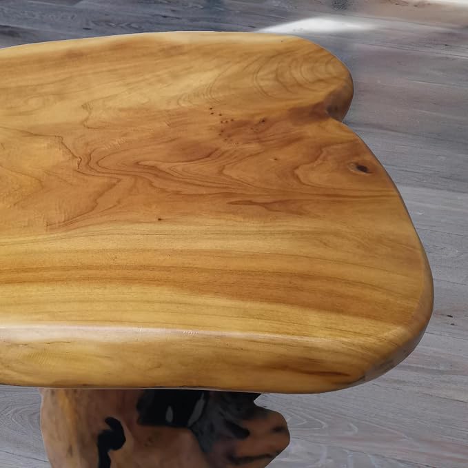 Brefhome 18.9" Tall Cedar Tree Stump Stool, Natural Wood Side Table, Hand-Carved Live Edge End Table, Unique Rustic Plant Stand for Living Room, Patio, Garden