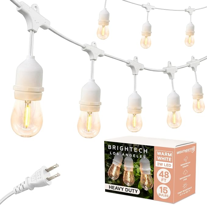 Brightech Ambience Pro Waterproof LED Outdoor String Lights, 48 Ft, Hanging, Dimmable Vintage Edison Bulbs, 15 Bulbs, 2W | Plug-in Outdoor String Lights, Waterproof Patio Lights, 15 Shatterproof LED Edison Bulbs for Backyard, 2W Soft White, White