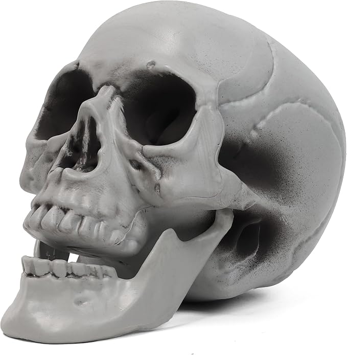 MOKRY PARTY Life Size Skeleton Skull for Halloween Decor Graveyard Outdoor White