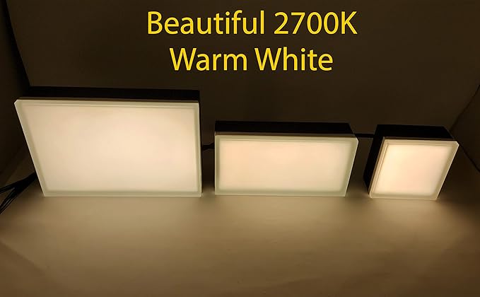 LUMENGY Paver Light 3x9 Inch (2.95x8.85), 2700K Warm White, Glare-Free Brick Lighting for Driveways, Walkways, Pool Decks and Patios, 12V Hardwired, IP67 Waterproof, Drive-Over Rated