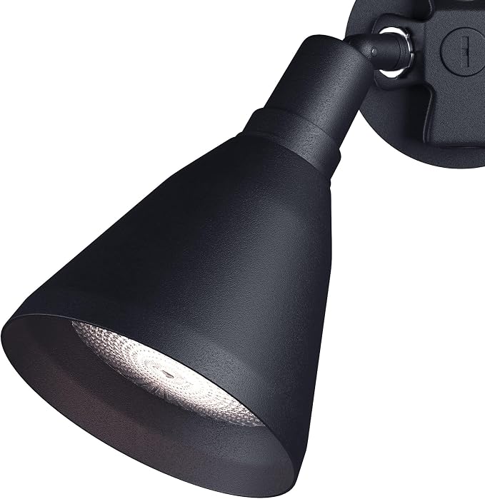 Progress Lighting 2-Light Adjustable Swivel Flood Light, Outdoor, P5203-31, Black