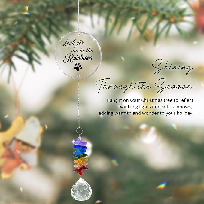 Pet Memorial Suncatcher Look for me in the Rainbows - Dog Memorial Gifts - Pet Loss - Thoughtful Dogs and Cats Remembrance - Pet Sympathy - Crystal Bereavement Gift