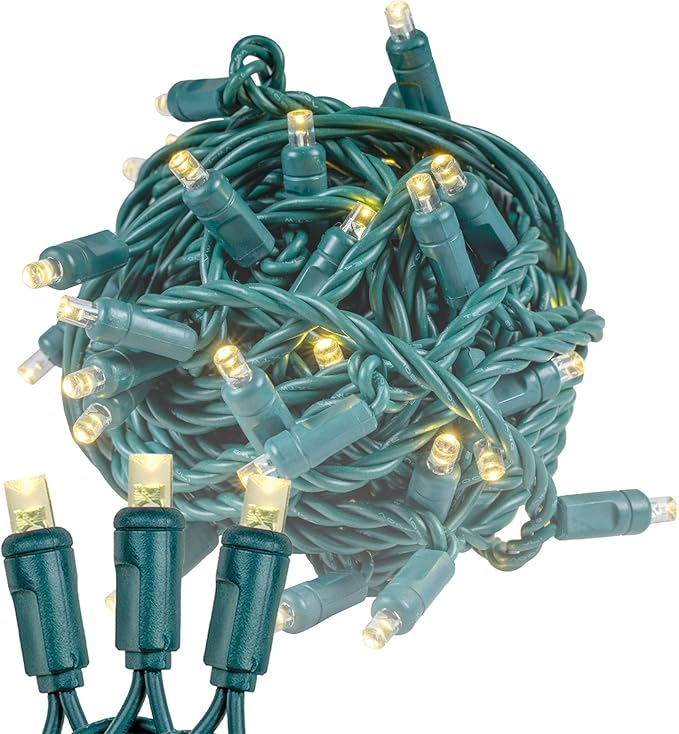 Novelty Lights 50ft 100 LED Warm White Christmas Lights, Green Wire