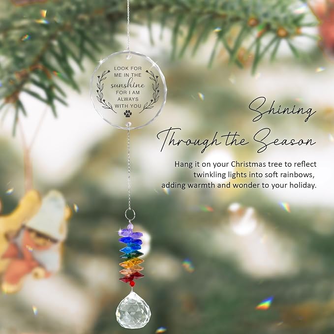 Pet Memorial Suncatcher Look for me in the Sunshine - Dog Memorial Gifts - Pet Loss - Thoughtful Dogs and Cats Remembrance - Pet Sympathy - Crystal Bereavement Gift