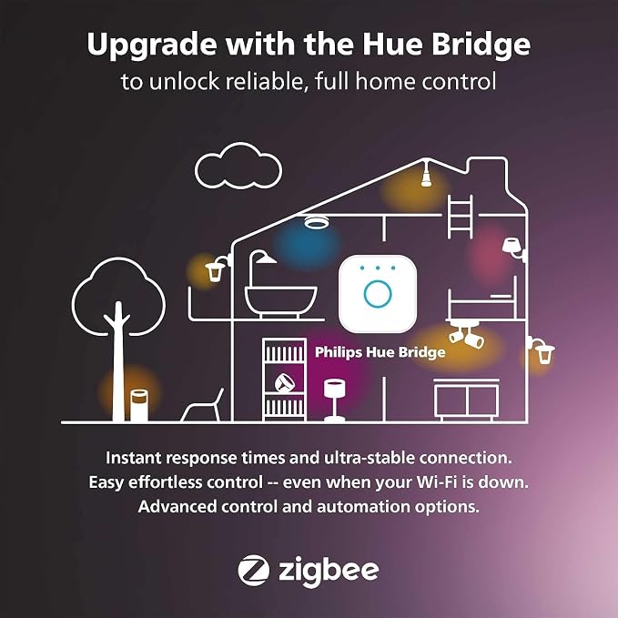 Philips Hue Outdoor 100W Power Supply Black - Connect Multiple Hue Outdoor Low Voltage Lights up to Total of 100W - 1 Pack - Requires Hue Bridge - Weatherproof