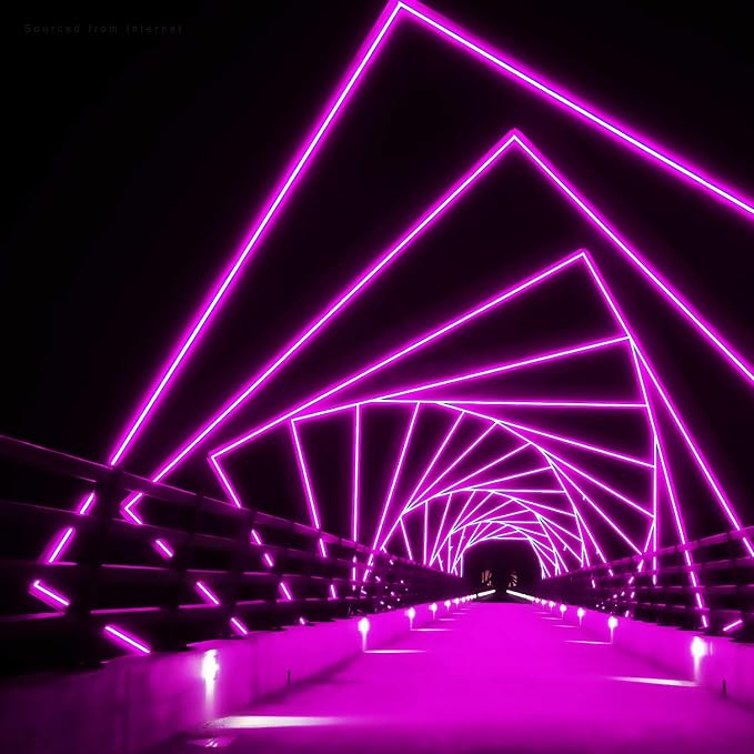 TORCHSTAR 50ft LED Neon Rope Light, Pink LED Strip Lights | Outdoor IP67 Waterproof, 120V UL Plug, ETL Connectable, Neon Light Strip for Shop Sign, Patio Decor, Max 2 Sets (100FT)
