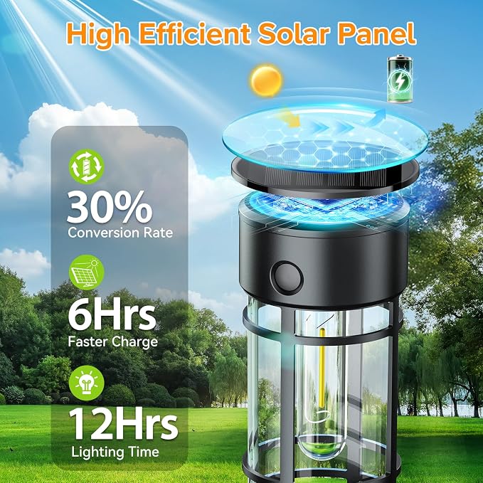 LETMY 12 Pack Solar Pathway Lights Outdoor, Solar Lights Outdoor Waterproof IP65, Bright Solar Garden Lights Outdoor, Auto On/Off Outdoor Solar Lights for Yard Walkway Driveway Landscape Garden Decor