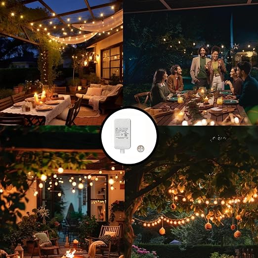Class 2 Power Supply for Permanent Outdoor Lights, 24V 1A 24W Power Adapter | LED Transformer Replacement and Suitable for Permanent Outdoor Lighting Within 33ft（10m）