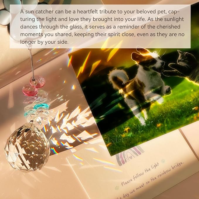 Dog Memorial Suncatcher, Loss of Dog Sympathy Gift, Dog Remembrance Gifts | Thoughtful Dogs Passing Away Bereavement Gift, Pet Memory Rainbow Bridge Crystal Sun Catchers