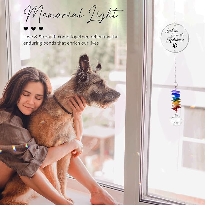 Pet Memorial Suncatcher Look for me in the Rainbows - Dog Memorial Gifts - Pet Loss - Thoughtful Dogs and Cats Remembrance - Pet Sympathy - Crystal Bereavement Gift
